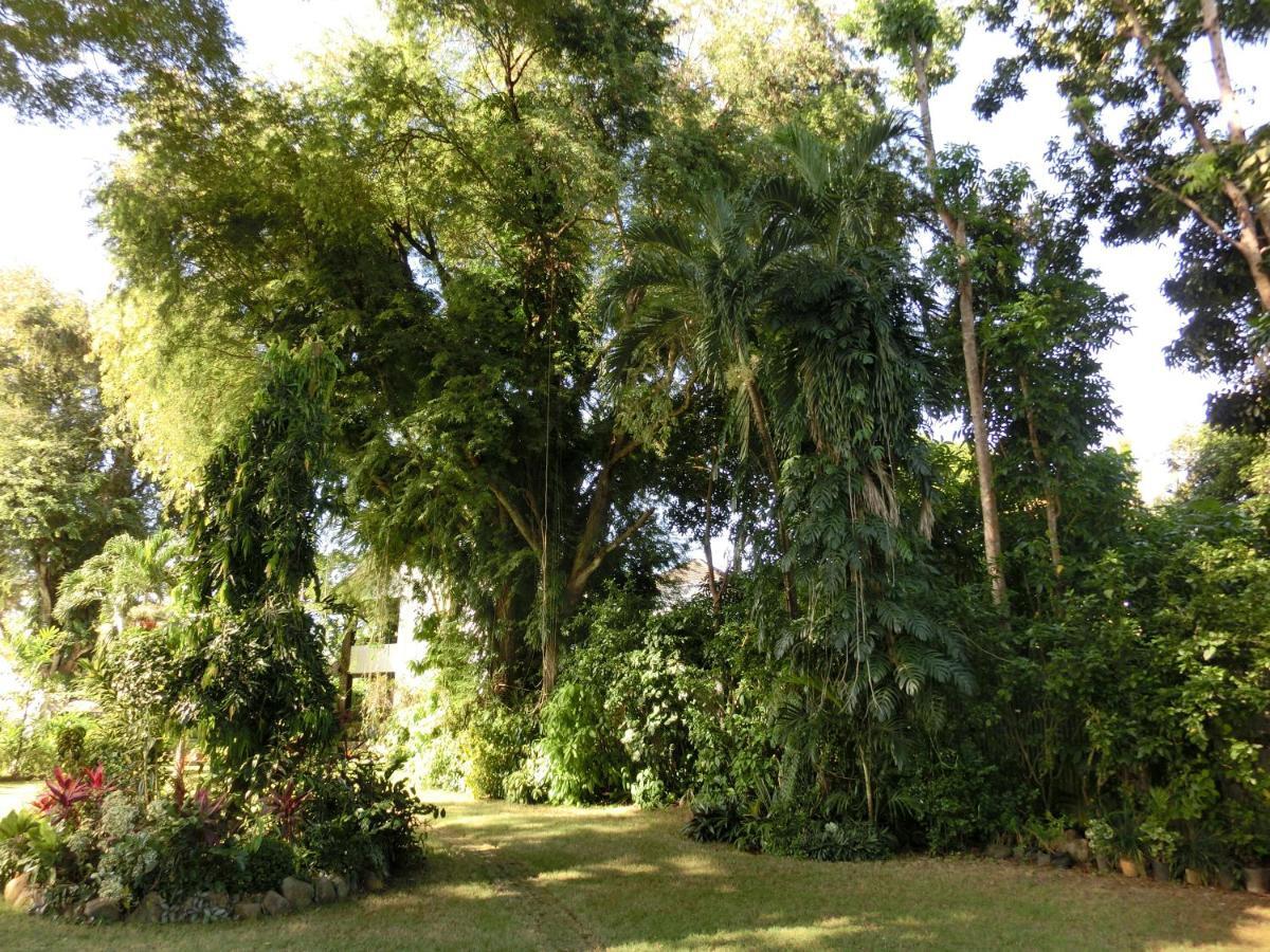 Balay Tuko Garden Inn Puerto Princesa Exterior foto